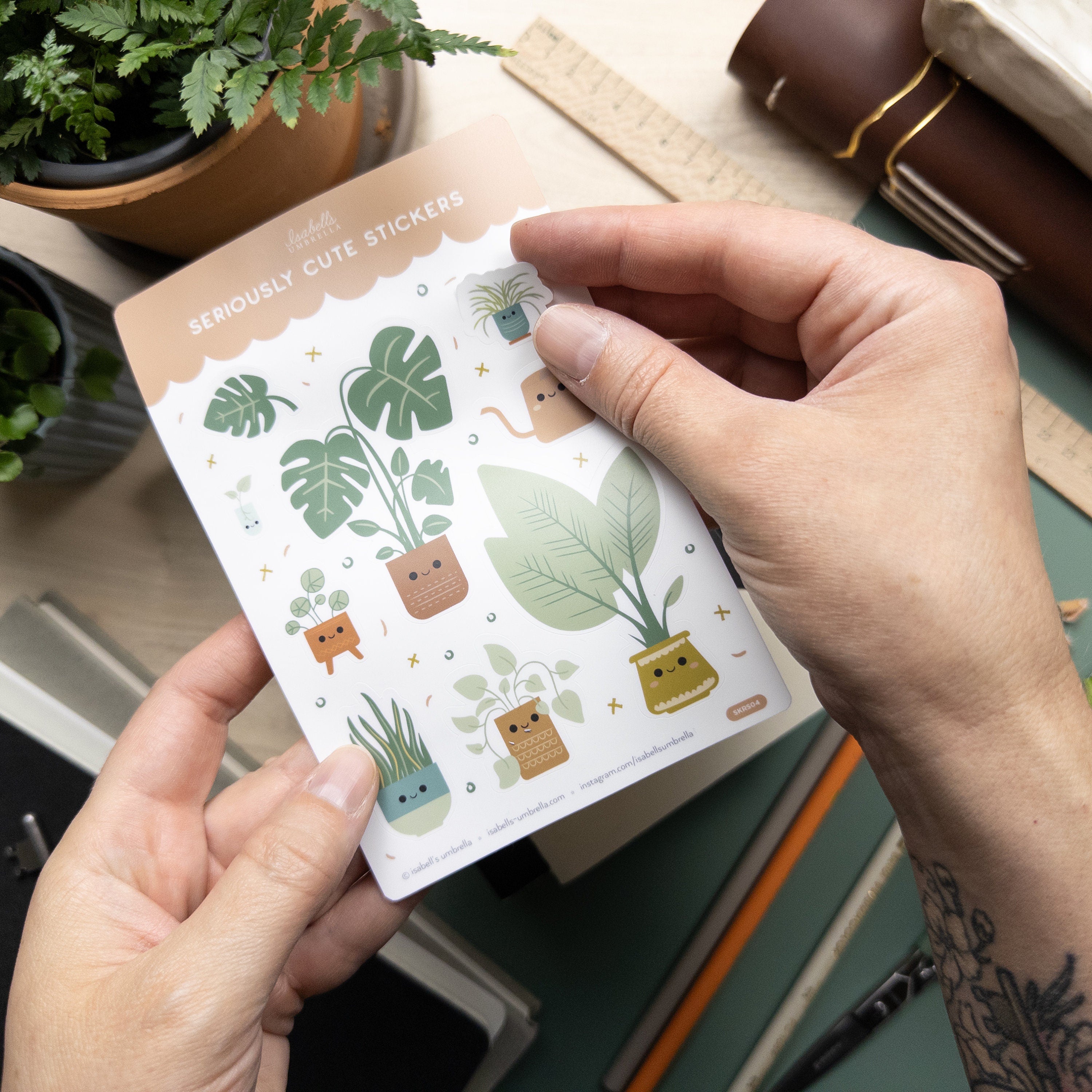 Hand peeling a small sticker of an illustrated spider plant which is included on a sheet of stickers featuring a variety of houseplants.