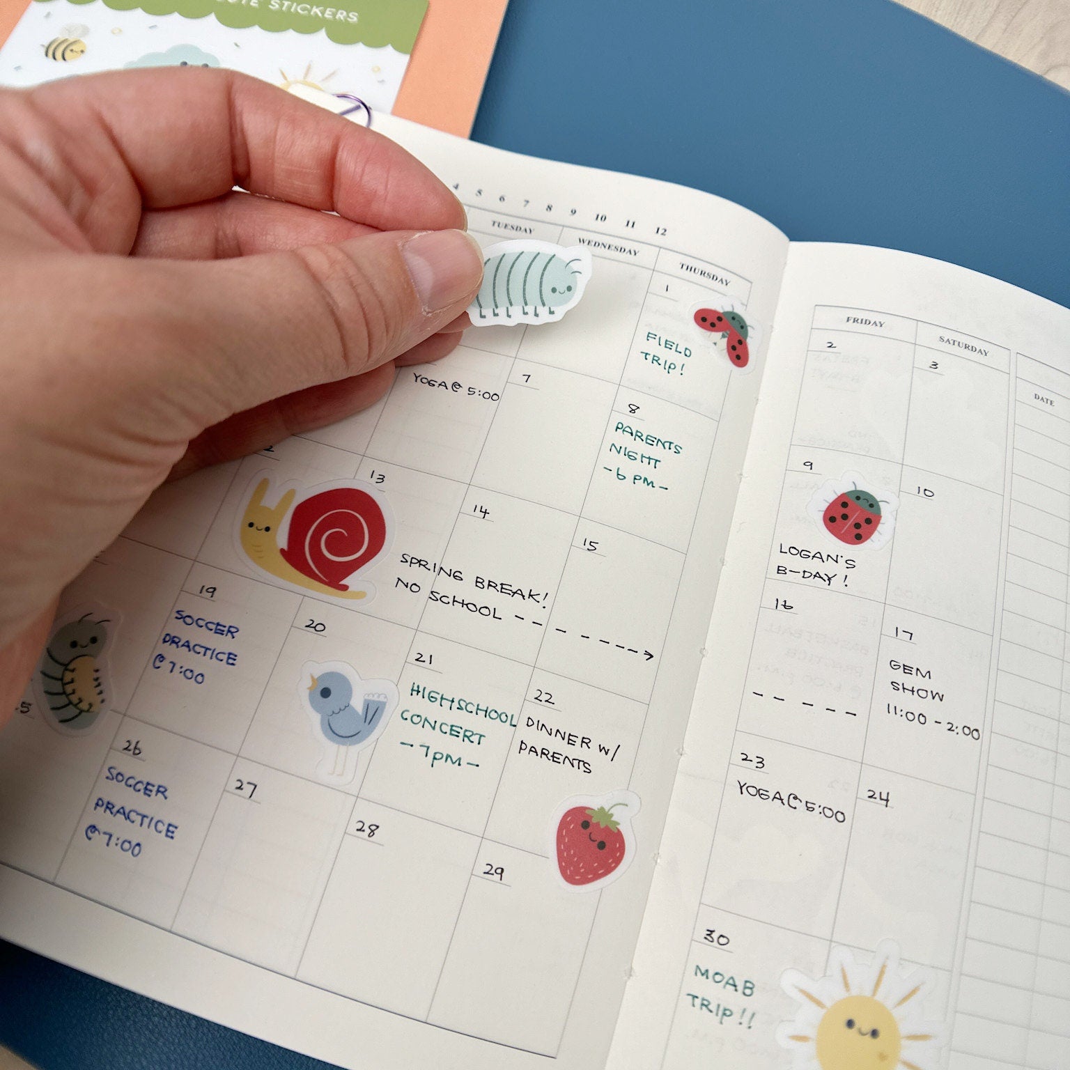 Detail shot of an illustrated roly-poly vinyl sticker.