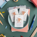 Three cute pterodactyl acrylic pin packaged and arranged on a blue plate with a variety of art supplies scattered around it.