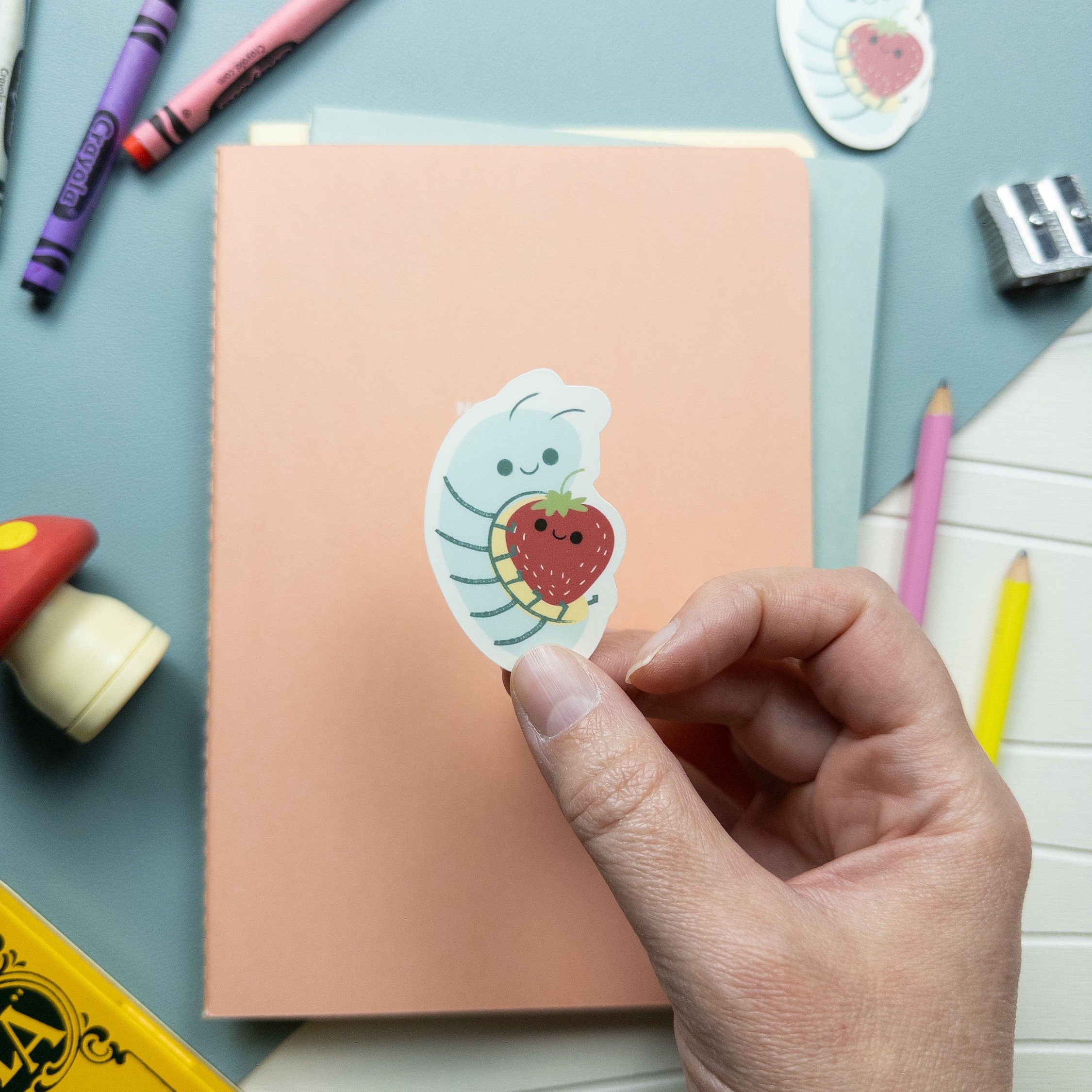 Hand holding a cute roly poly and strawberry vinyl sticker, kawaii waterproof matte decal for laptops, water bottles, and journals.